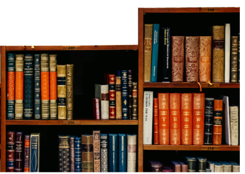 Our Team at Kimara Advocates and Consultants